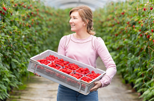 raspberries